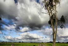 PG电子官网入口-伯纳乌之外的征服！C罗帽子戏法弑旧主，皇马客场奏凯宣告王者回归