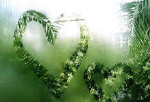 PG电子官方-疾风骤雨战梅斯塔利亚！瓦伦西亚铁血布阵迎击瓦拉多利德