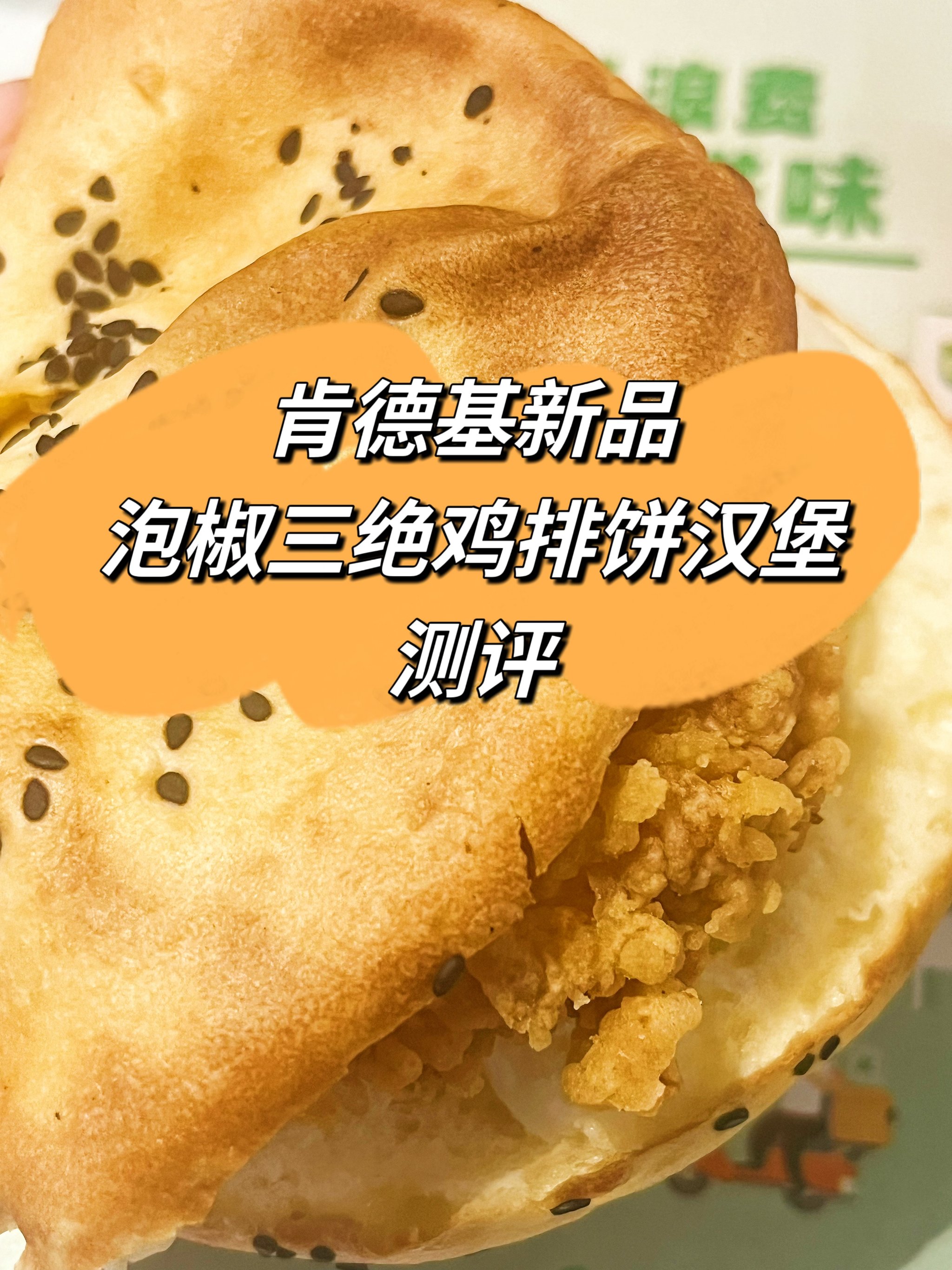 PG中国登录入口-包含汉堡成功逆转，斩获关键三分稳定排名的词条