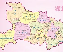 PG电子官方-湖北队奋力抗争，全队齐心协力的简单介绍