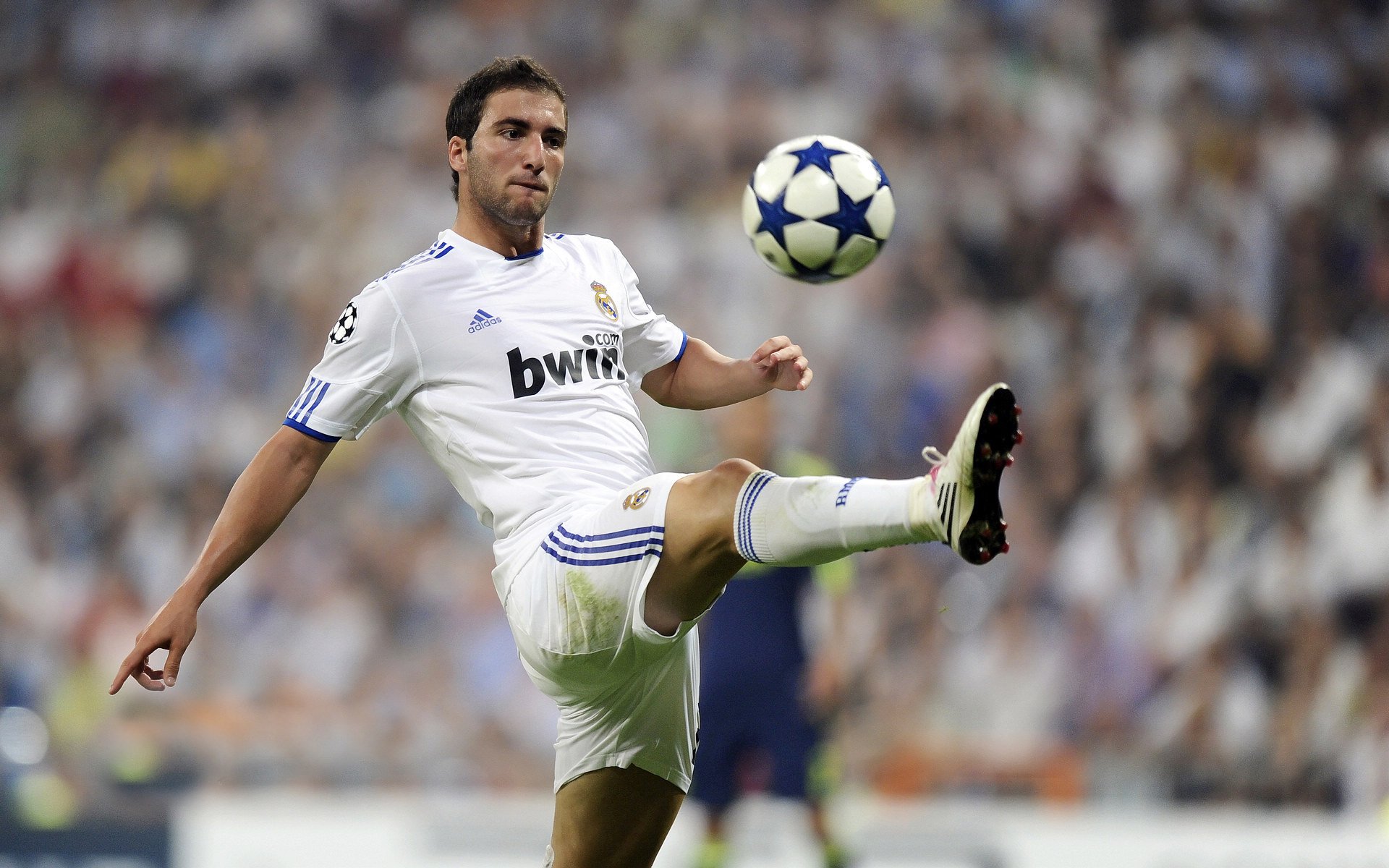 孤勇引擎，当阿隆索以一人之躯扛起阿斯顿马丁的战旗